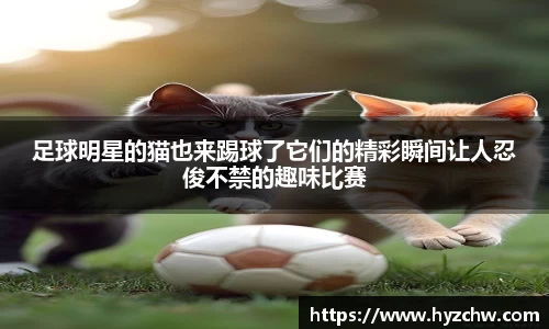 365WM完美体育官方网站